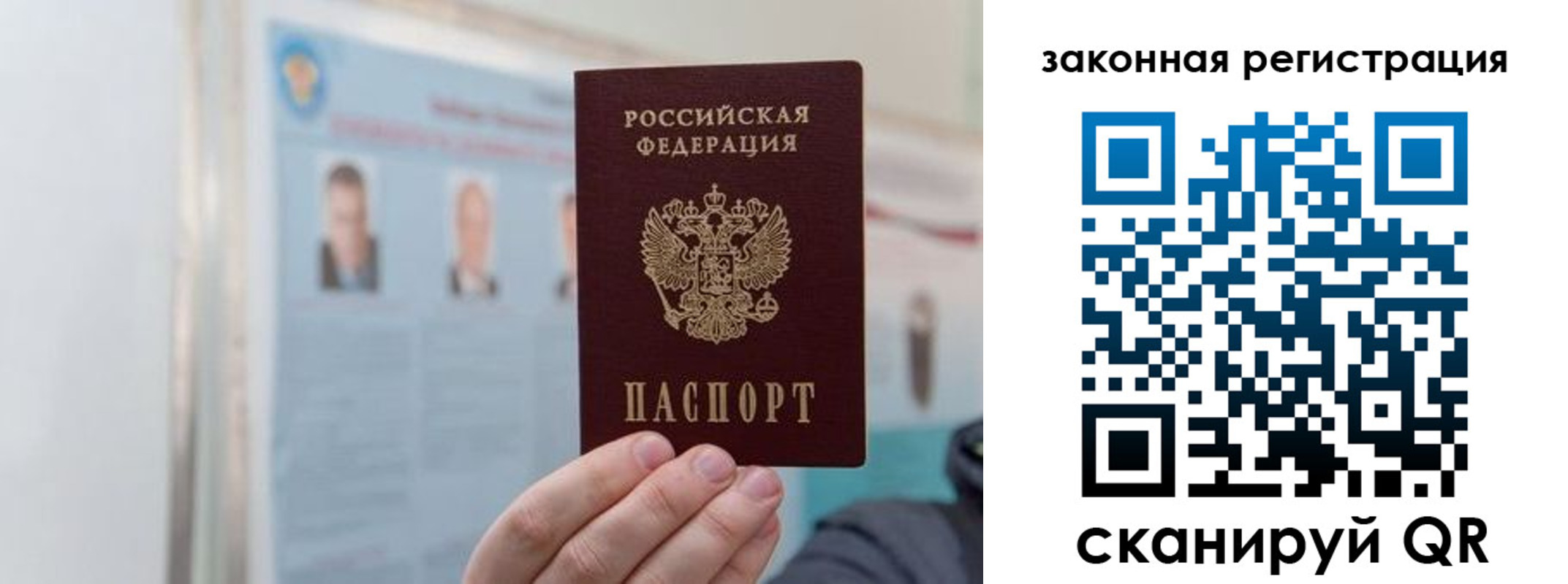 прописка законно в Курской области